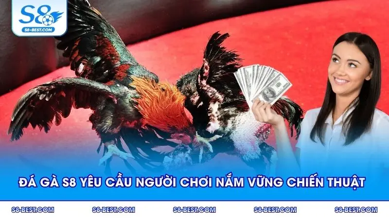 Đá gà S8 yêu cầu người chơi nắm vững chiến thuật để thắng lớn